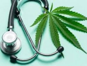 ‘Medical Cannabis’ legalization to be expedited