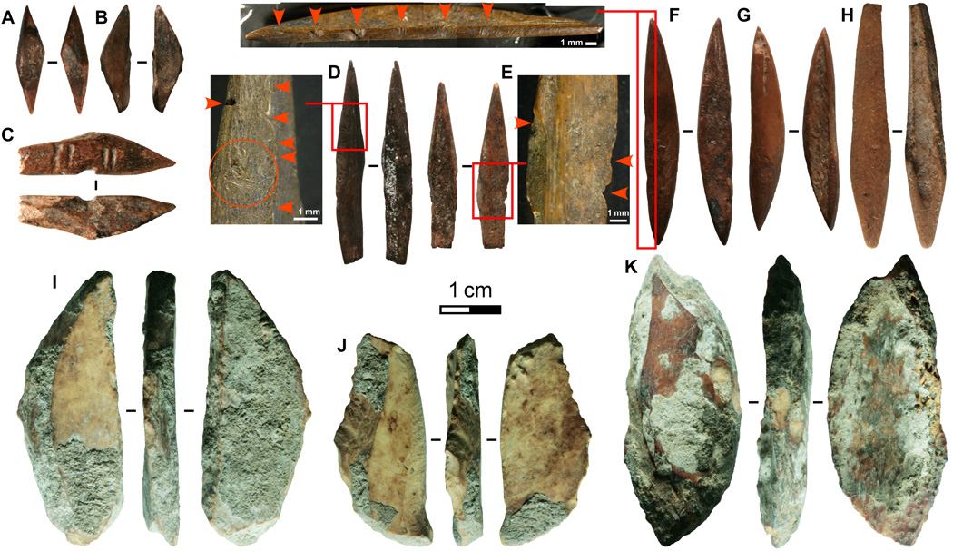 Asia’s oldest hunting tools in Sri Lanka?