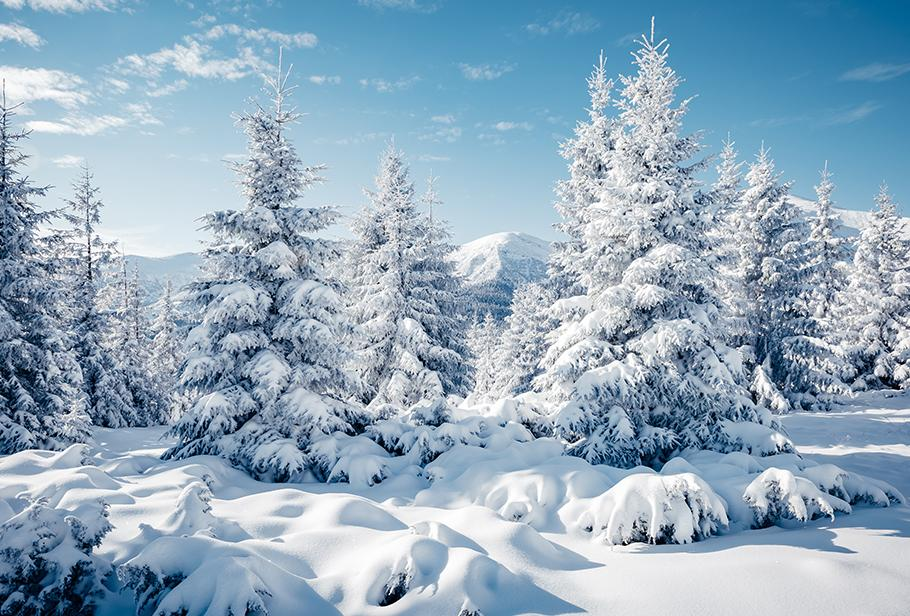 Winter tourist have not arrived
