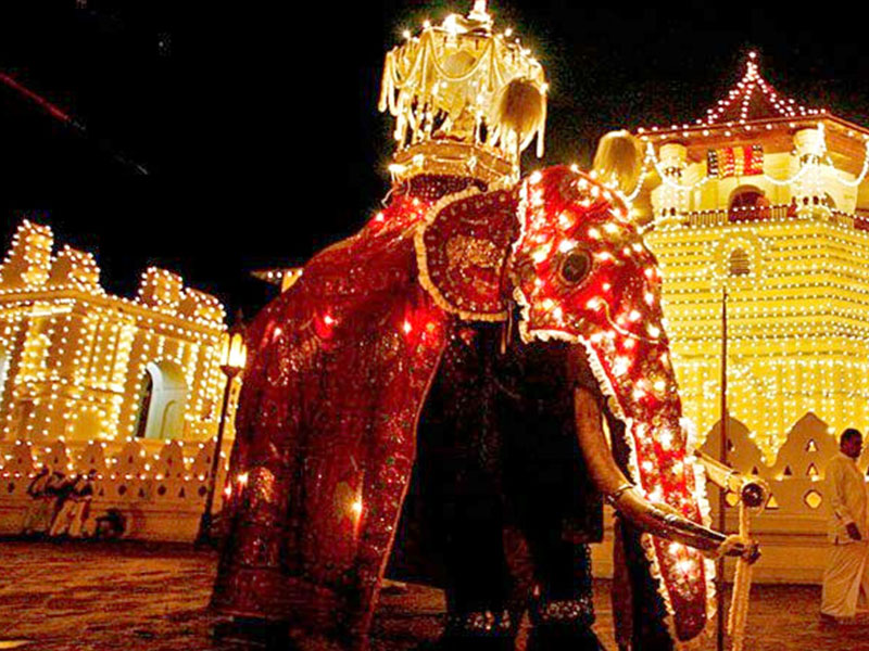 Kandula Carries Tooth Relic for First Time