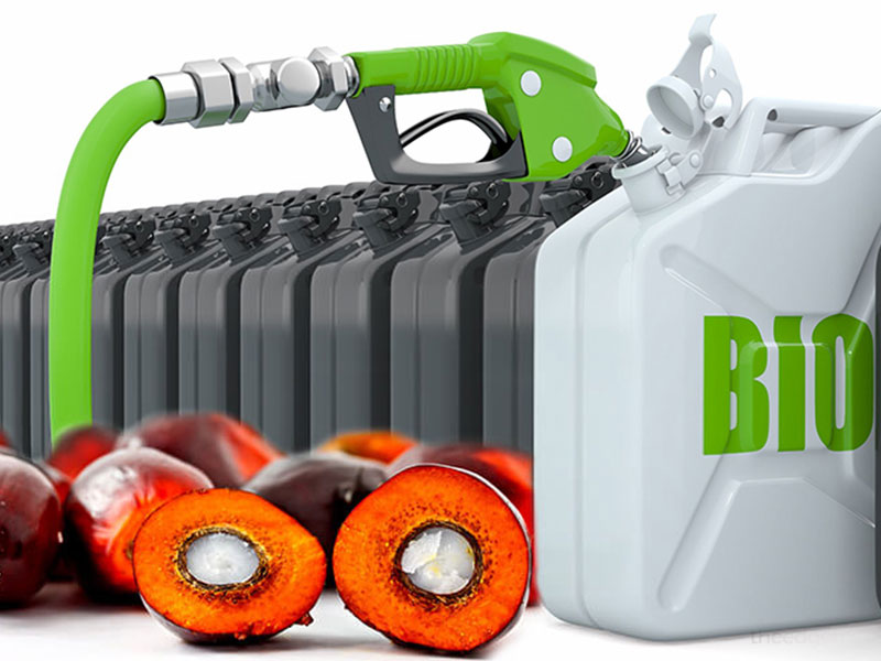 Indonesia’s Biodiesel Expansion and Its Impact on Sri Lanka’s Palm Oil Imports: Opportunities and Challenges