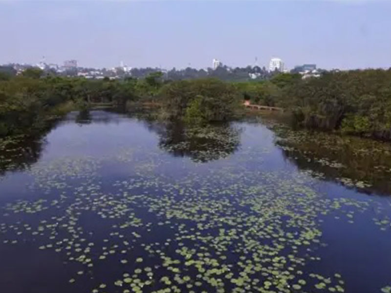 Controversy surrounds bio diversity Park