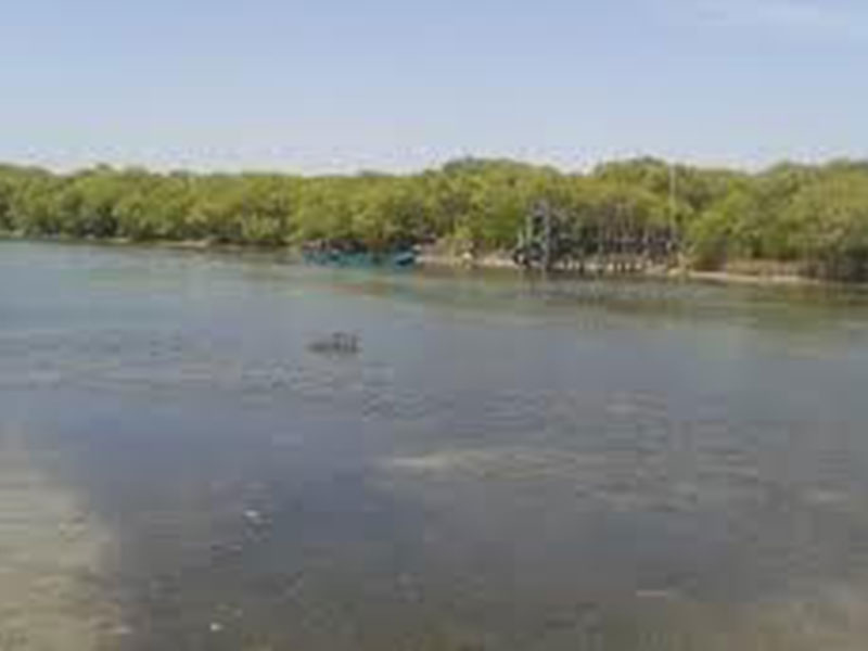 Vidataltivu Nature Reserve threatened