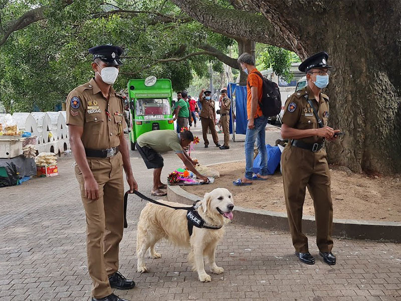 Sri Lanka’s Police Kennels celebrate seventy.