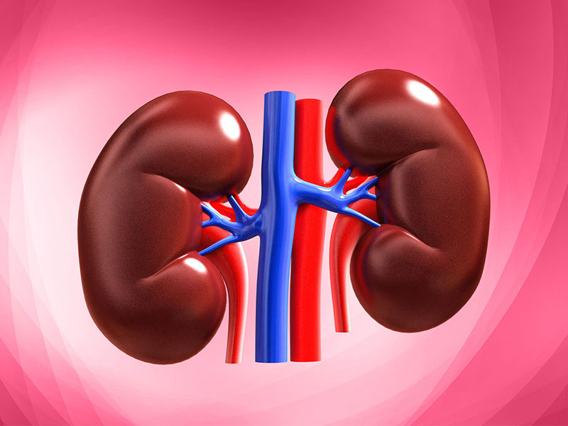 Survival of kidney transplant patients  in danger