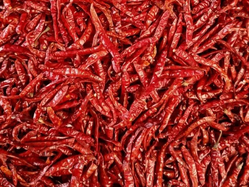 Alfatoxin-contaminated chillies re -re-exported to Pakistan