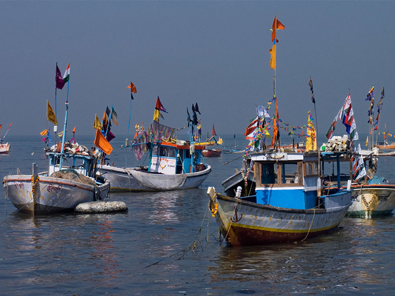 Indian trawler owners who poach to be dealt with
