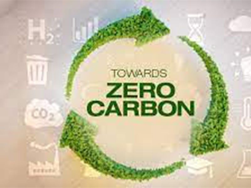 carbon neutrality by 2050