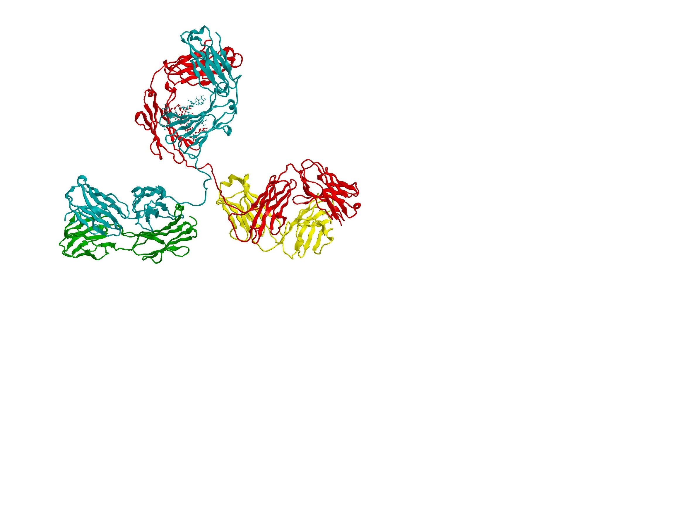 immunoglobulin Scam: Resistance